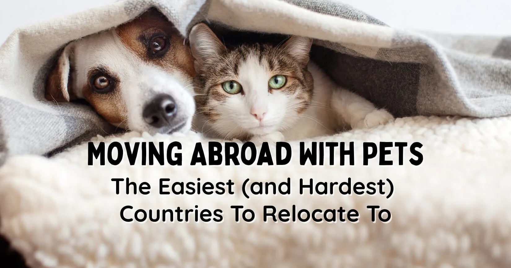 Moving Abroad With Pets? The Easiest and Hardest Countries To Relocate To