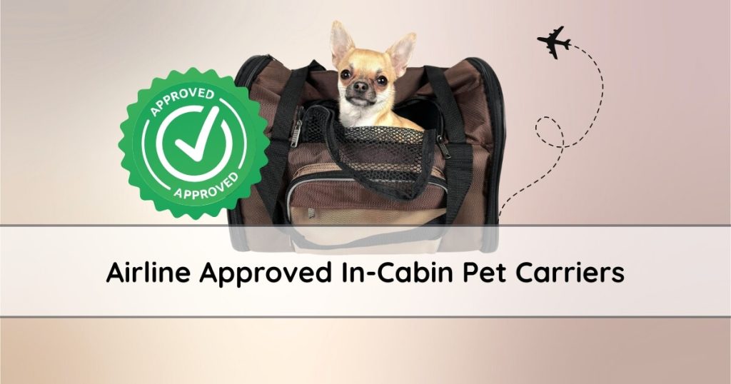Small dog resting in a soft airline‑approved pet carrier under an airplane seat next to their owner’s feet during an international flight.